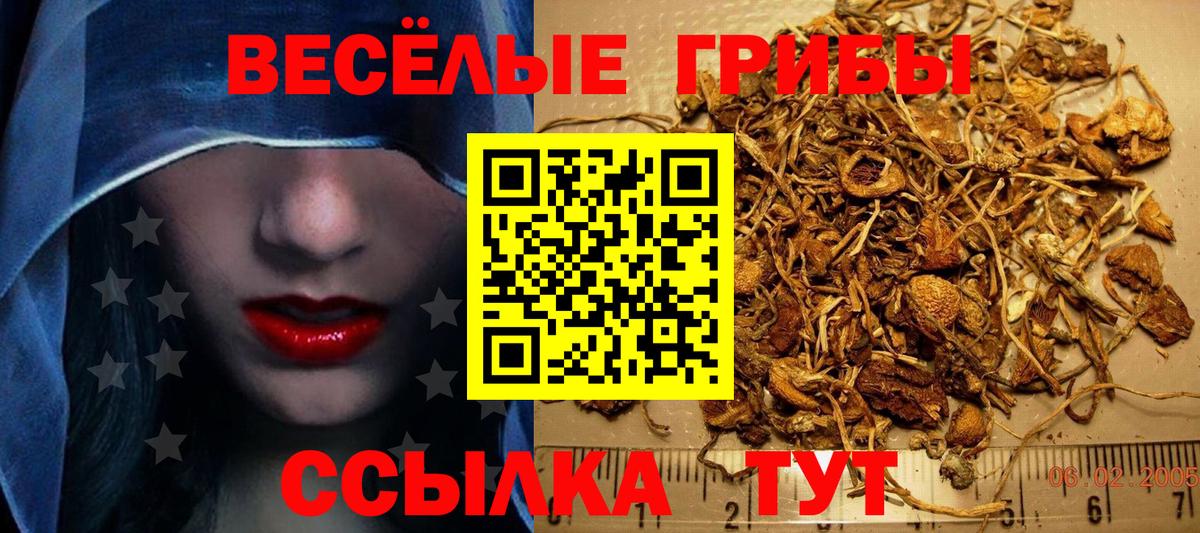 Галлюциногенные грибы Psilocybe  Псилоцибиновые грибы Psilocybe  Старая Купавна  Вход с VPN 